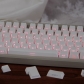 Plain Keycaps 104+27 PBT Backlit Keycaps Set Cherry Profile Side Legends for MX Switches Mechanical Gaming Keyboard White / Black